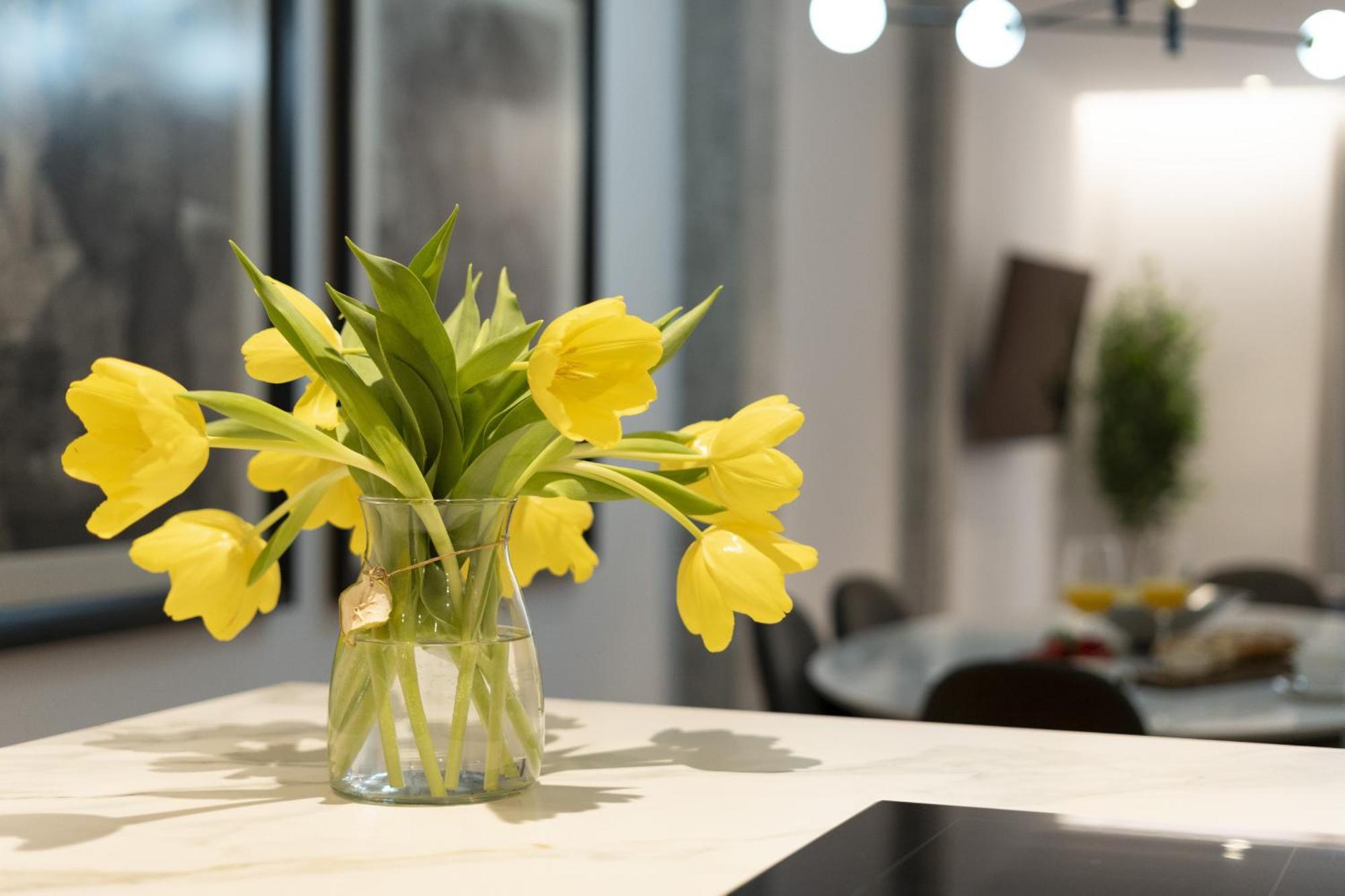 Apartamento House Of Arts - La Latina *
